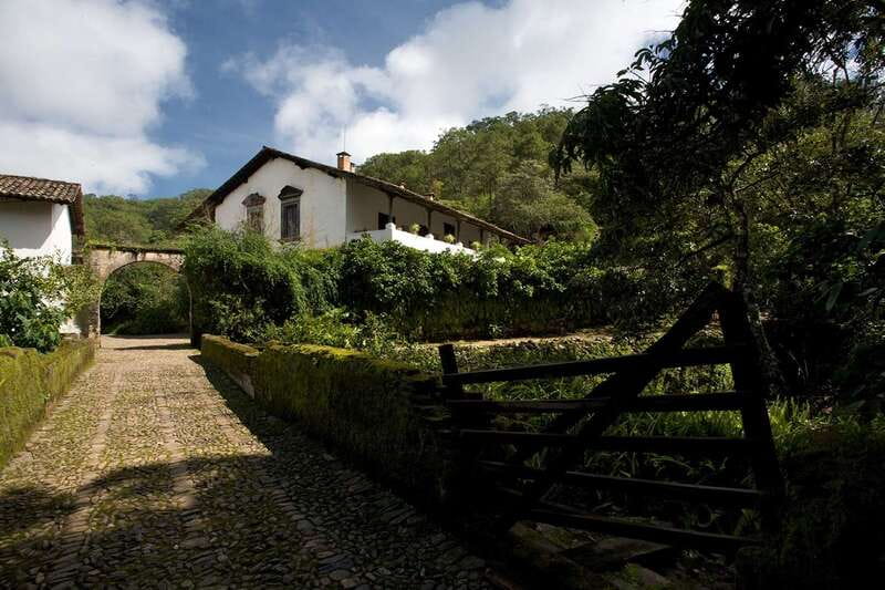 From Puerto Vallarta: Full-Day Tour to San Sebastian - What $89 buys you: value, timing, and small-group reality