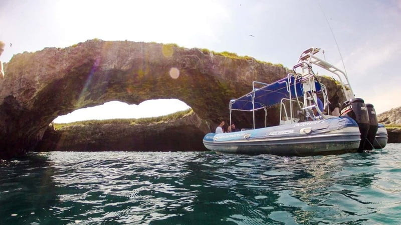 From Puerto Vallarta: Marieta Islands Snorkeling Trip - Key highlights you’ll feel on this tour