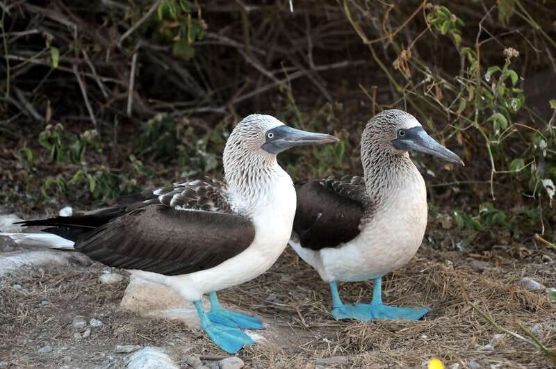From Puerto Vallarta: Marieta Islands Snorkeling Trip - Price and extra fees: is $145 good value?