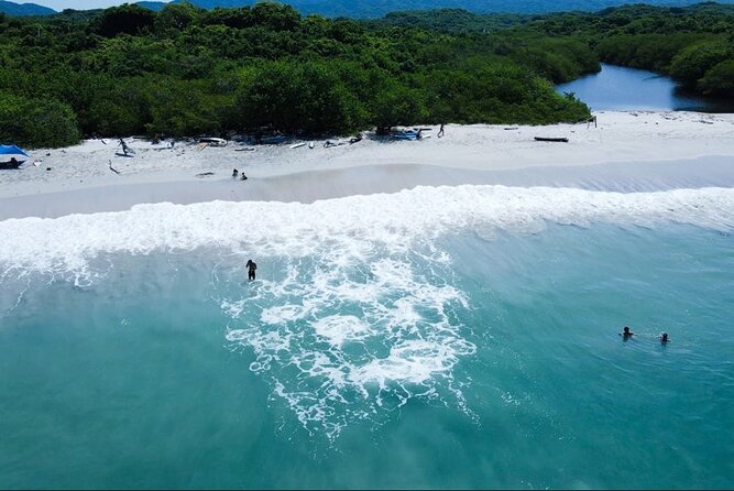 From Sayulita: Surf Trip to La Lancha Beach -all ages & levels - The Marea Surf School setup: boards, leashes, and level-matching