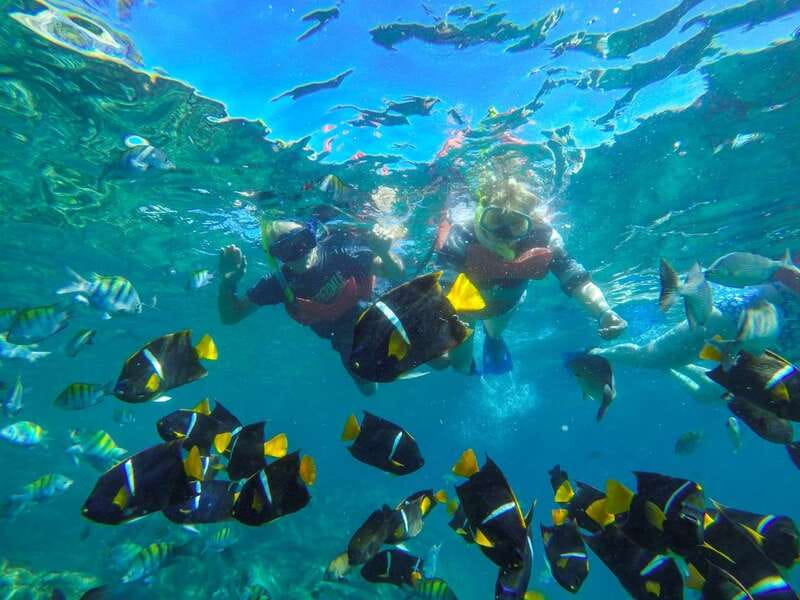 From Vallarta: Marietas Islands & Beach BBQ at Majahuitas - How This 7-Hour Tour Actually Works
