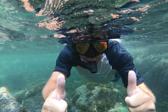 Full-Day Experience in Banderas Bay - Banderas Bay, but with less traffic and more water time