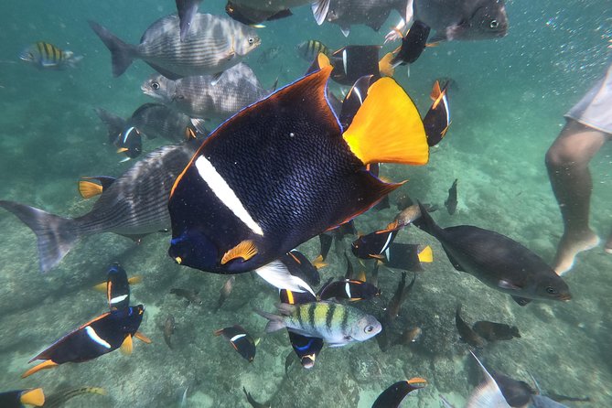 Full-Day Experience in Banderas Bay - The small-group setup that makes the day feel custom