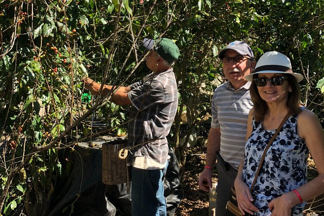 Full-Day Private Tour to San Sebastian del Oeste with Guide - Best Fit: Who Will Enjoy This Day Trip Most
