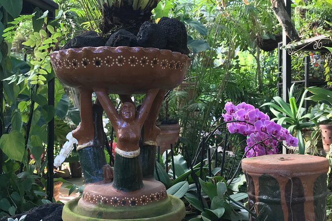 Full Day Puerto Vallarta Botanical Garden Tour - The South Shore Drive Sets the Tone