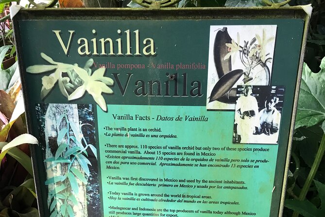 Full Day Puerto Vallarta Botanical Garden Tour - Guides Matter: Jimmy and Abraham’s Different Styles