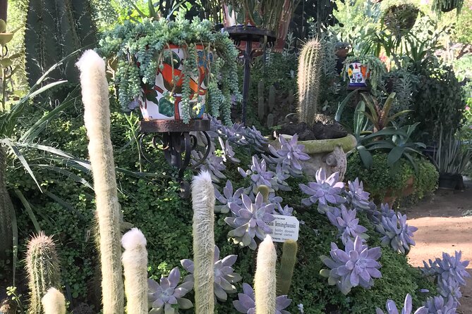 Full Day Puerto Vallarta Botanical Garden Tour - Jardin Botanico de Vallarta: Highlights Plus Wild Trails