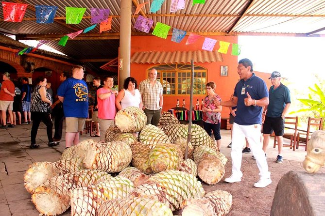 Full-Day Puerto Vallarta City Highlights Tour - Should you book this tour?