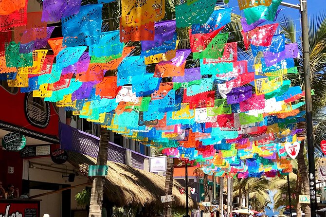 Full-Day Sayulita and San Pancho from Puerto Vallarta - Included vs. Not Included: What You’ll Pay For On the Day