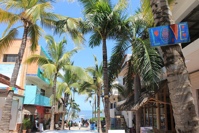 Full-Day Sayulita and San Pancho from Puerto Vallarta - Sayulita Beach Time: Where the Included Boogie Board Fits In