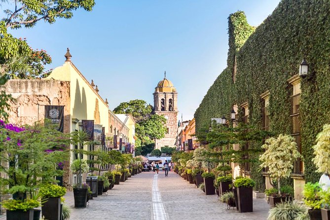 Full-Day Tequila, Jalisco from Puerto Vallarta with Tequila Experience - Key highlights from this Tequila day trip