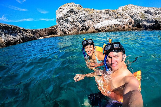 Full Day Tour Isla Marietas with Meals and Open Bar - What You Can See: Dolphins, Whales, Birds, and the Fish Show