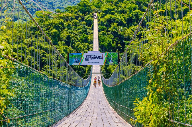Full Zip Line Tour + Mules + Jorullo Bridge - El Salto Waterfall Visit: A Scenic Reset Between Activities