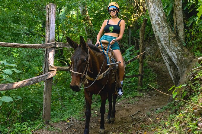 Full Zip Line Tour + Mules + Jorullo Bridge - Price Value Check: What You Get for $96