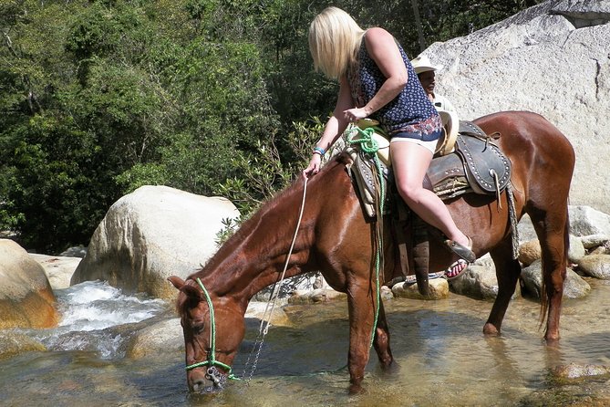 Fun Horseback Tour in Mismaloya - Leaving Puerto Vallarta’s Streets Behind