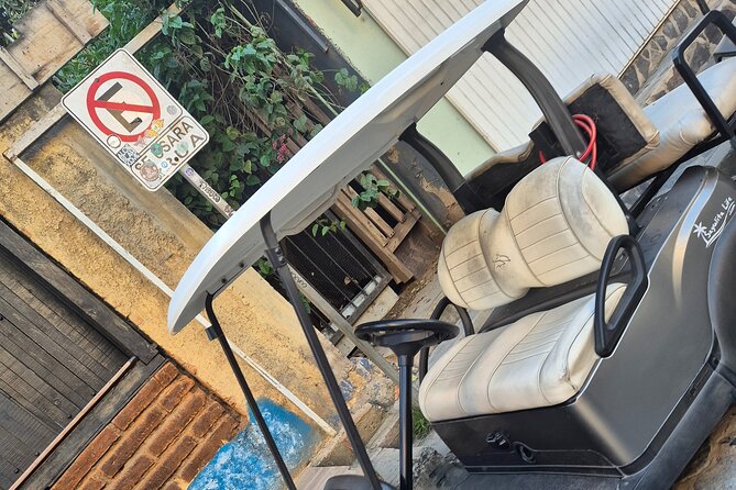 Golf Cart Rental in Sayulita - One-Day Cart Freedom in Sayulita: Why This Rental Feels Worth It