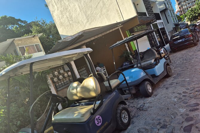 Golf Cart Rental in Sayulita - Charging and the Included Charger: Why It Matters More Than You Think