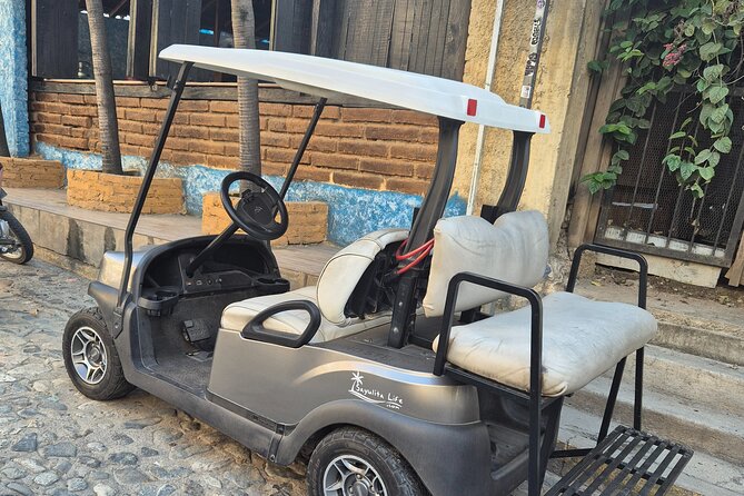 Golf Cart Rental in Sayulita - Vehicle Condition and Service: The Good, the Bad, and the Real-World Lesson