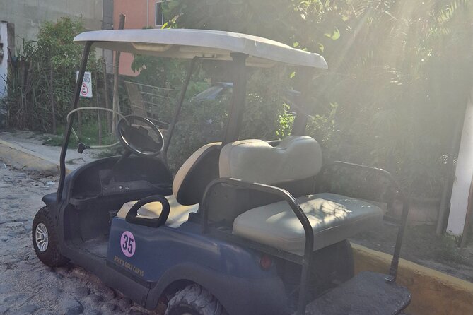Golf Cart Rental in Sayulita - Pickup Zone, Hotel Delivery, and How the Return Works