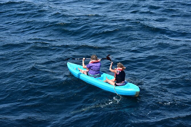 Half-Day Tour to Marietas Islands, Playa Nopalera by Speedboat - Playa Nopalera: rocky coastline time (and why you should expect that reality)