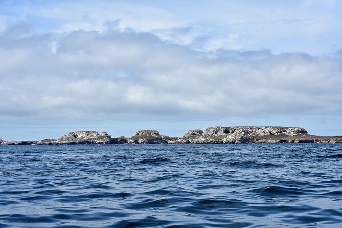 Half-Day Tour to Marietas Islands, Playa Nopalera by Speedboat - Food, open bar, and the ride back across Banderas Bay