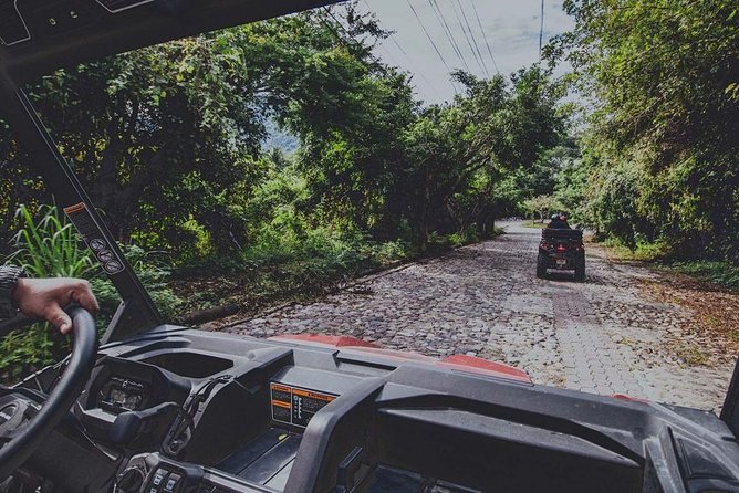 Half-Day Vallarta ATV Single Experience with Tequila Tasting - Plateau Views and Wildlife: When the Macaws Really Show Up