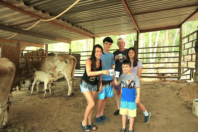 Hands-on Mexican Farm Experience: from Cow to Cheese - Key highlights at a glance