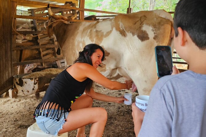 Hands-on Mexican Farm Experience: from Cow to Cheese - Tortillas from scratch: press, cook, eat hot