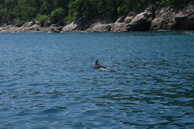 Hidden Beach Snorkeling Adventure - Lunch time back in Boca: choose the meal option
