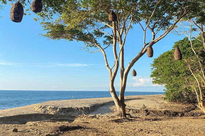 Hike and Yoga Jungle Experience in Mexico - The quiet beach stop: yoga with waves, shade, and breathing room