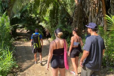 Hike and Yoga Jungle Experience in Mexico - Start point, timing, and how the morning flows (9:30 am in Sayulita)