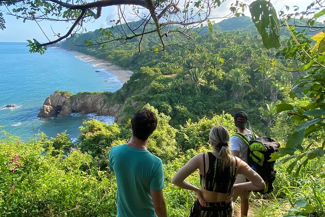 Hike and Yoga Jungle Experience in Mexico - Who this is best for (and who might want a different plan)