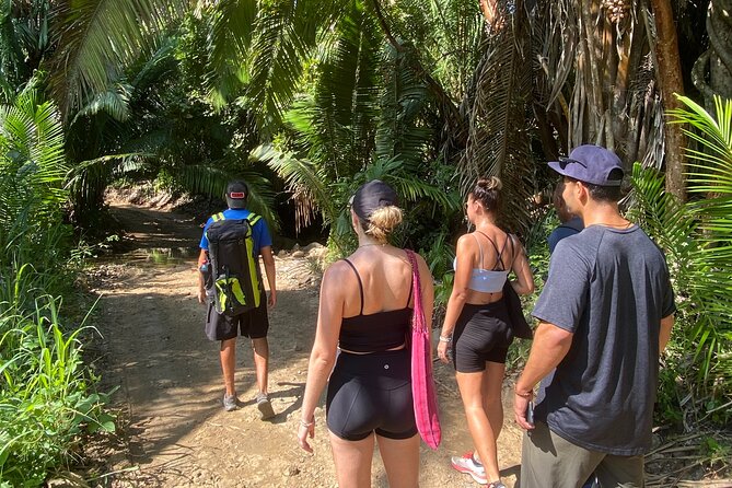 Hike and Yoga Jungle Experience in Mexico - Start point, timing, and how the morning flows (9:30 am in Sayulita)