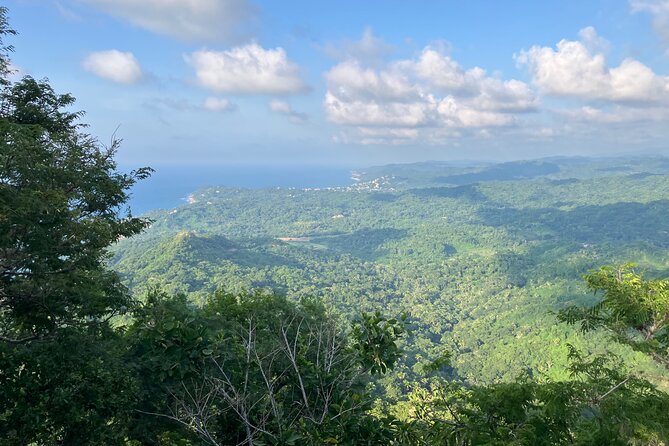 Hike to Monkey Mountain (Transportation & fresh coconut Included) - From Sayulita to Higuera Blanca: the morning warm-up that matters