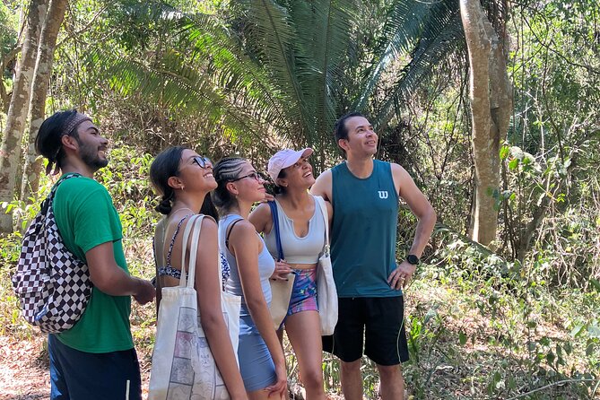 Hike to Monkey Mountain (Transportation & fresh coconut Included) - The summit push: short scramble, big payoff