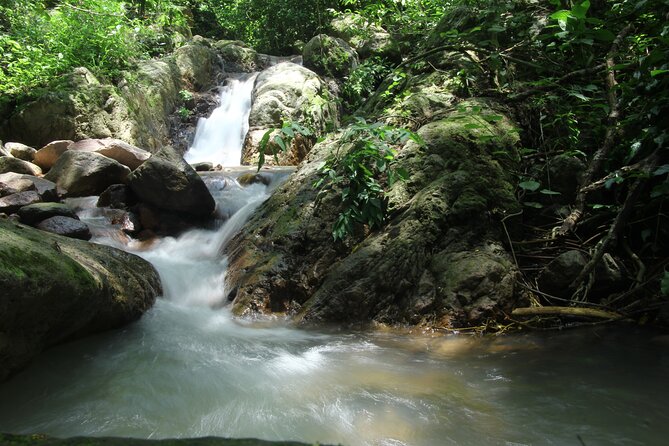 Hiking Adventure: River Trails & Waterfall Wonders - Puerto Vallarta warm-up: welcome drink, tequila tasting, and a real start