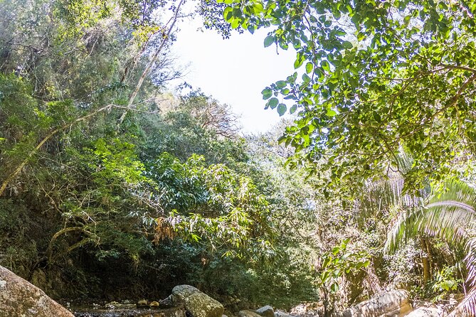 Hiking Adventure: River Trails & Waterfall Wonders - Waterfall wonders: the cool-off moment you came for