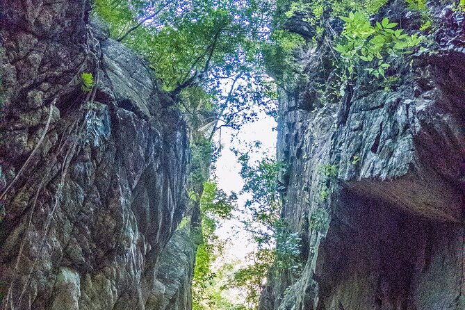 Hiking Adventure: River Trails & Waterfall Wonders - Guide power in a small group: why Carlos and Emilian get mentioned