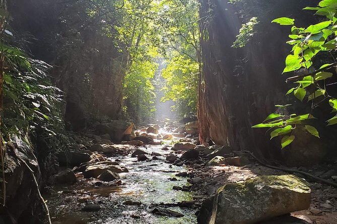 Hiking Adventure: River Trails & Waterfall Wonders - Timing that works: 4 hours, an 8:00 am start, and back to the start