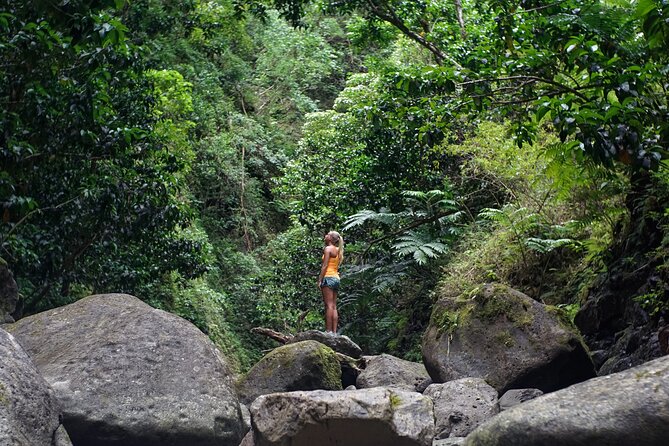 Hiking Adventure: River Trails & Waterfall Wonders - Price and value: what $77 buys you in real terms