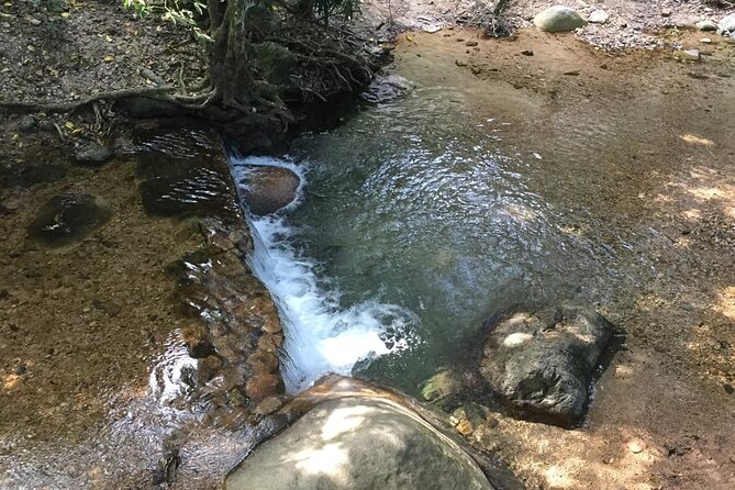 Hiking Adventure: River Trails & Waterfall Wonders - What to expect at each stage of the day
