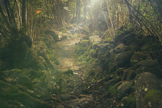Hiking Adventure: River Trails & Waterfall Wonders - Who this tour suits best (and who should think twice)
