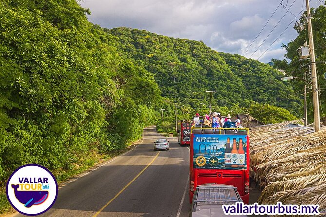 Hop On Hop Off Tour with Free Stops in Puerto Vallarta - The Biggest Real-World Issues I’d Plan Around