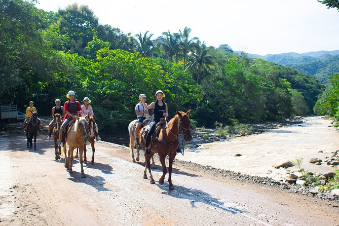 Horseback Riding Experience in Puerto Vallarta - The Walk Across the World’s Longest Vehicular Suspension Bridge