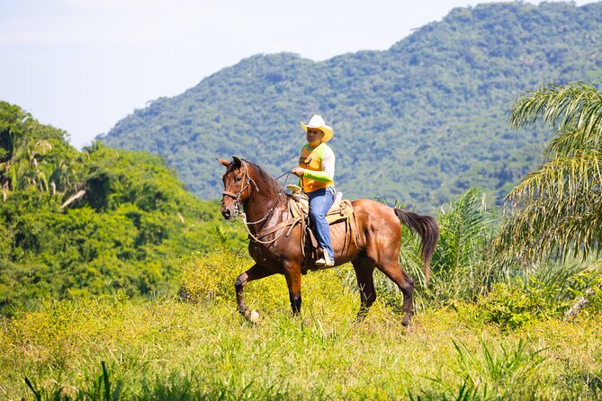 Horseback Riding Experience in Puerto Vallarta - What to Pack for the 2.5-Hour Ride (No Cameras Allowed)
