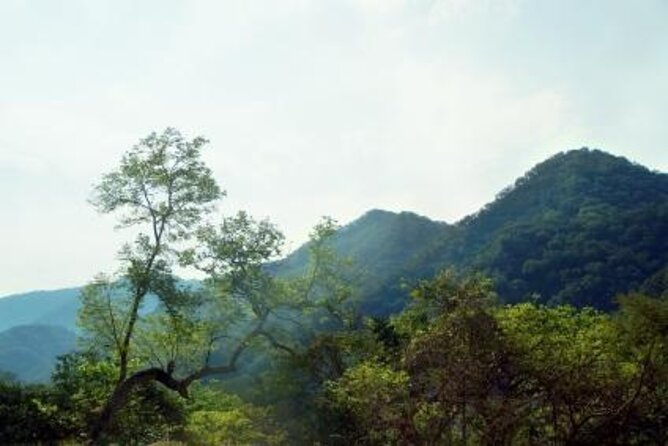 Horseback Riding Experience in Sierra Madre Mountains - Quick hits before you saddle up