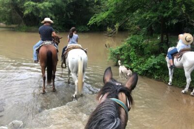 Horseback Riding Experience in Sierra Madre Mountains - Getting there from the hotel zone: the meeting point that keeps it easy
