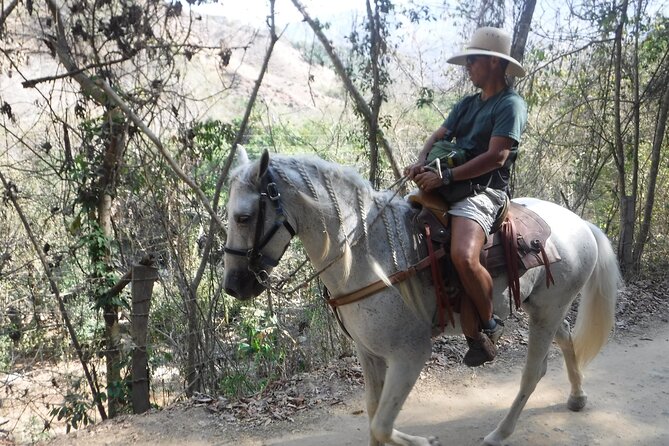 Horseback Riding Experience in Sierra Madre Mountains - Price and value: is $119 fair for what you get?