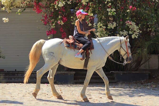 Horseback Riding in Sayulita - The 1-hour flow: How the tour actually moves