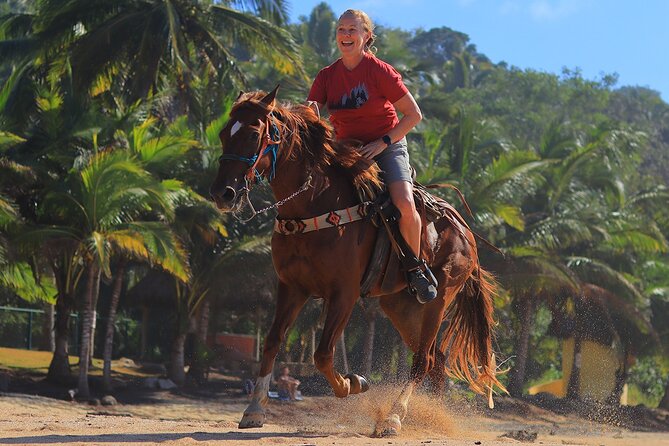 Horseback Riding in Sayulita - Price and value: Is $81.90 worth it in Sayulita?